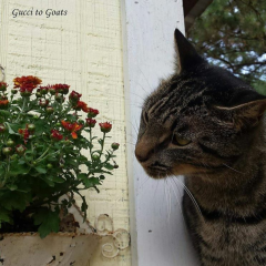 Stopping to Smell the Flowers