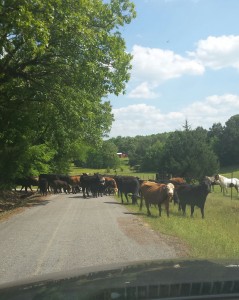 road congestion