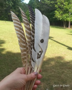 turkey feathers